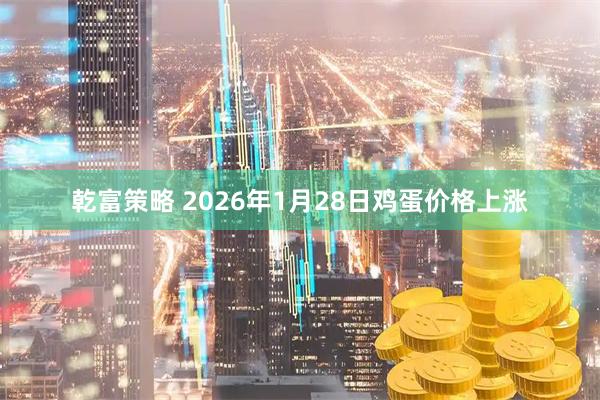 乾富策略 2026年1月28日鸡蛋价格上涨