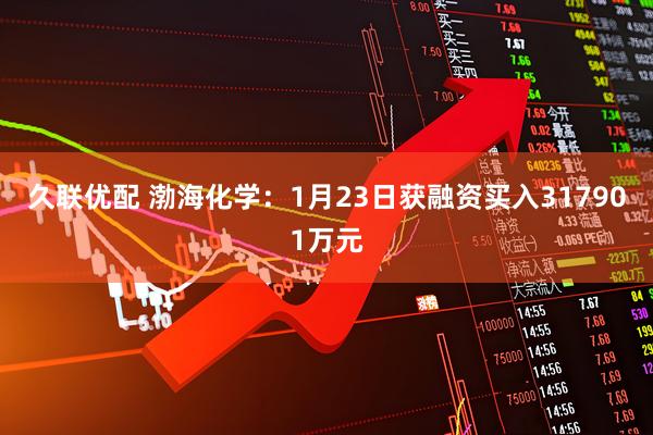 久联优配 渤海化学：1月23日获融资买入317901万元