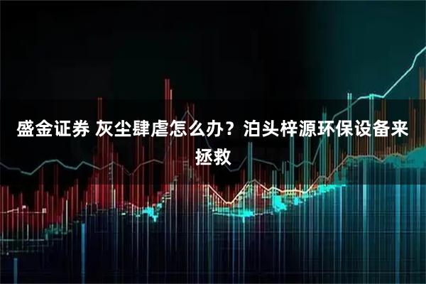 盛金证券 灰尘肆虐怎么办?泊头梓源环保设备来拯救