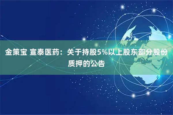 金策宝 宣泰医药：关于持股5%以上股东部分股份质押的公告