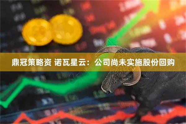 鼎冠策略资 诺瓦星云：公司尚未实施股份回购